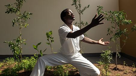 Interfaz intuitiva para videos