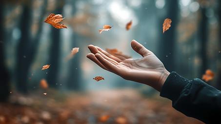 Impacto de videos en redes sociales